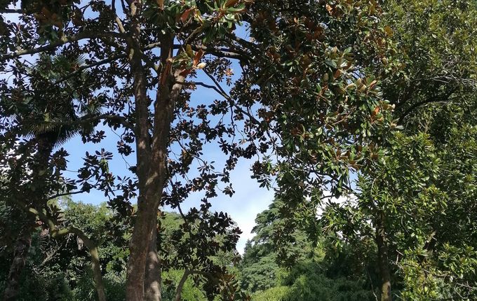 .  &copy;Photo: Blaž Kosovel