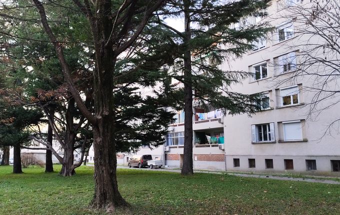 foto: Blaž Kosovel.  