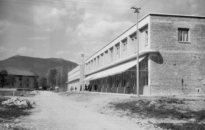 .  &copy;Photo Pavšič, from the collection of the Goriški muzej Kromberk - Nova Gorica (Goriška museum).
