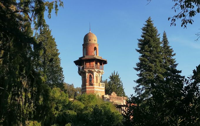 foto: Blaž Kosovel.  