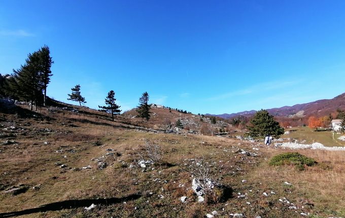 . Trnovski Forest Foothils &copy;Photo: Blaž Kosovel