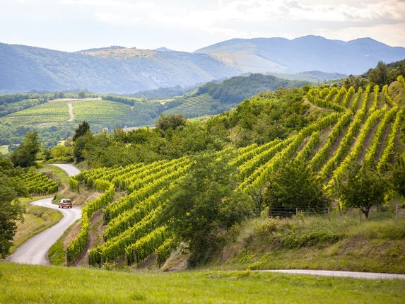 .  &copy;Photo: Daniel James Clarke, Zavod za turizem Nova Gorica in Vipavska dolina
