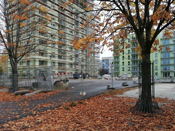 .  &copy;Photo: Blaž Kosovel