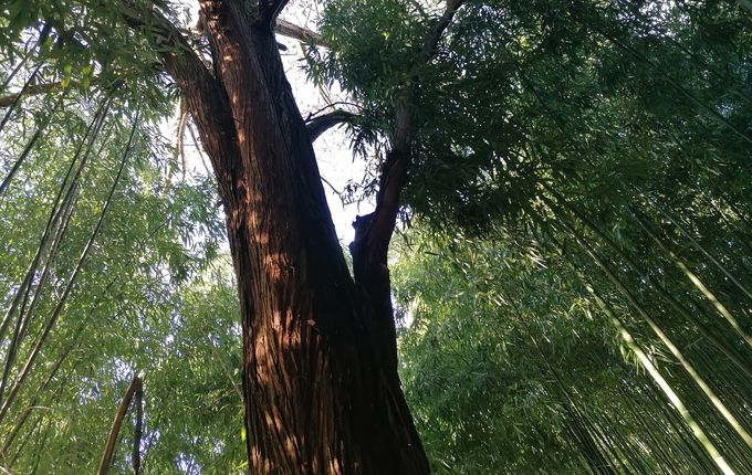 .  &copy;Photo: Blaž Kosovel