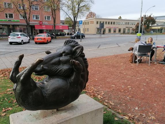 .  &copy;Photo: Blaž Kosovel