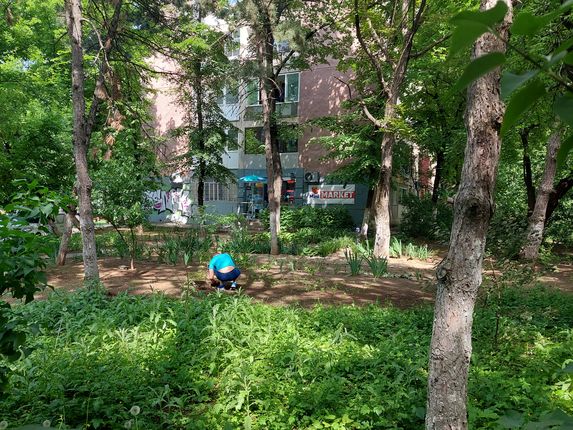 . Caring for the green spaces in between the blocs in Buclă, 2022  &copy;Photo: Alex Axinte