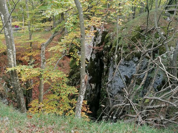 .  &copy;Photo: Blaž Kosovel