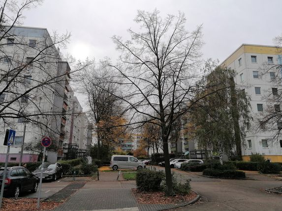 .  &copy;Photo: Blaž Kosovel