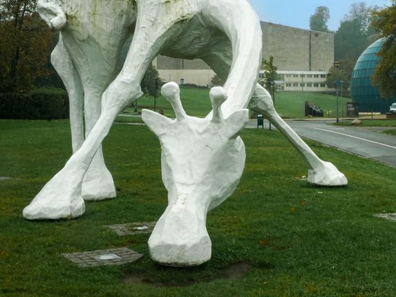 .  &copy;Photo: Blaž Kosovel